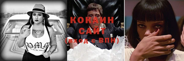 бошки Бородино