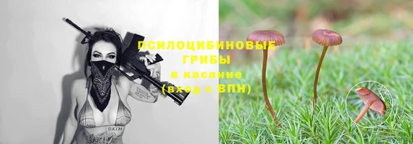 бутират Слюдянка
