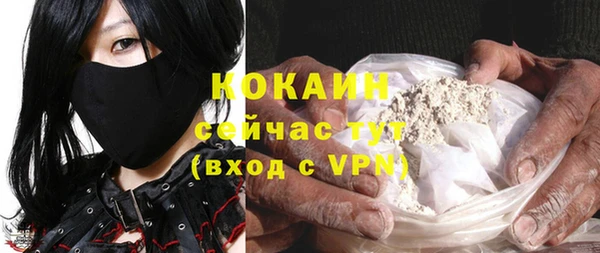 бошки Бородино