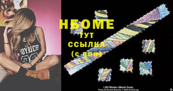 бошки Бородино